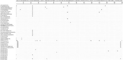 Epidemiological monitoring and genetic variation analysis of pathogens associated with porcine viral diarrhea in southern China from 2021 to 2023